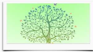 Giornata Nazionale degli Alberi. Cerasolo: piantati una una quercia, un acero e un liquidambar.